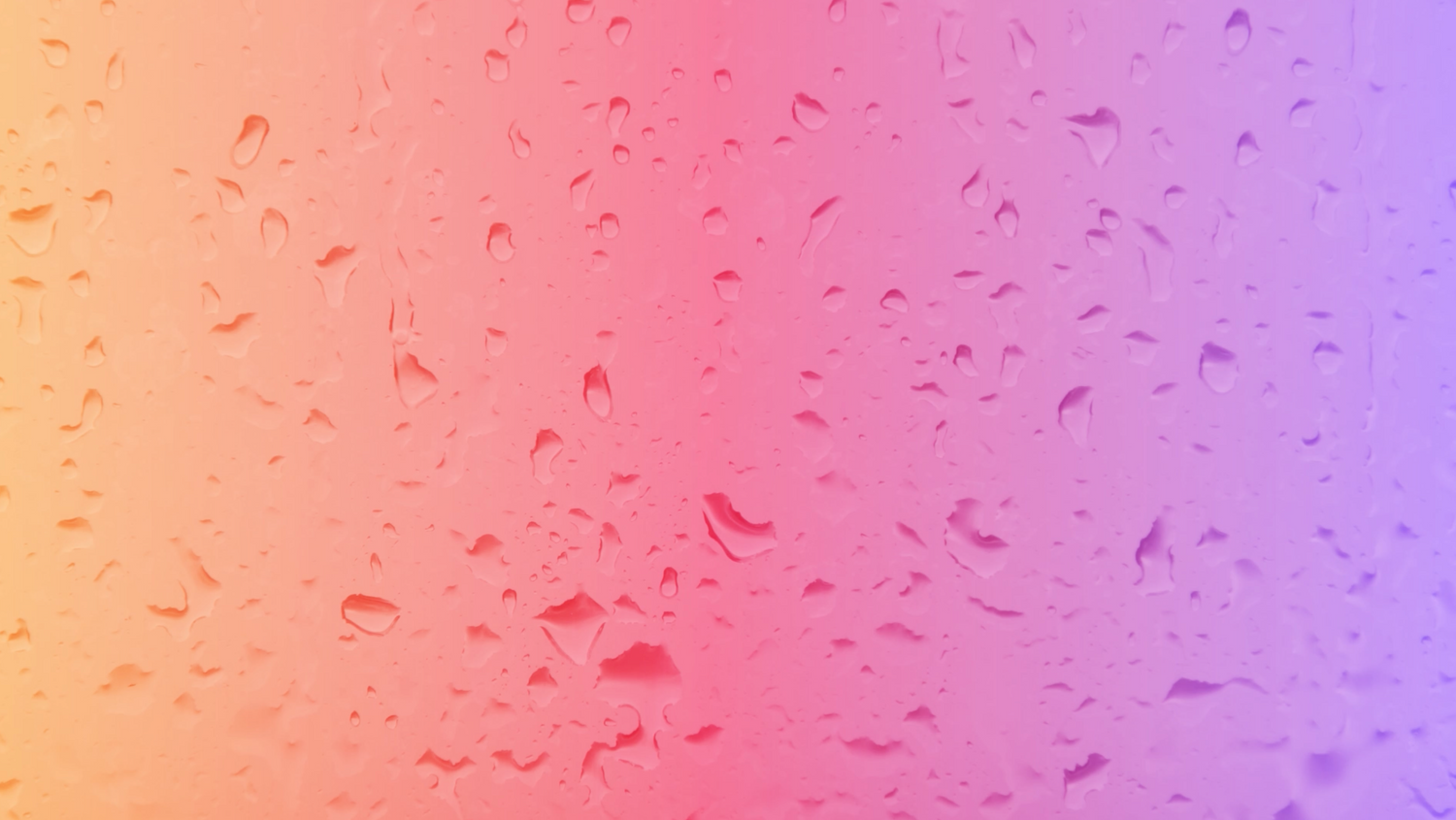 Video fallback image