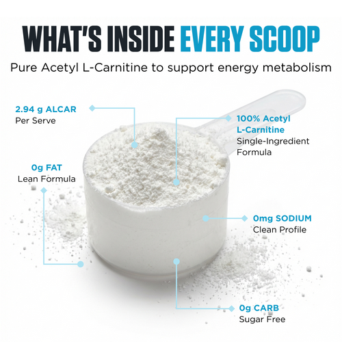 100% Pure Acetyl L-Carnitine by Genetix Nutrition Essentials - Nutrition Warehouse 100% Pure Acetyl L-Carnitine by Genetix Nutrition Essentials - Nutrition Warehouse