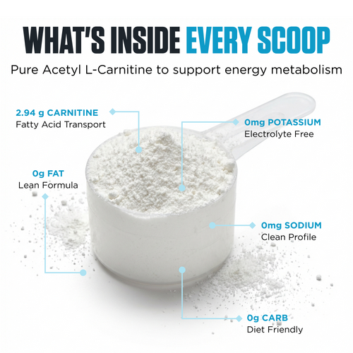 propionyl-l-carnitine vs l-carnitine Buy CLA + L-Carnitine Powder main image 0